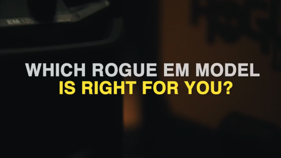 Which Rogue is right for you?